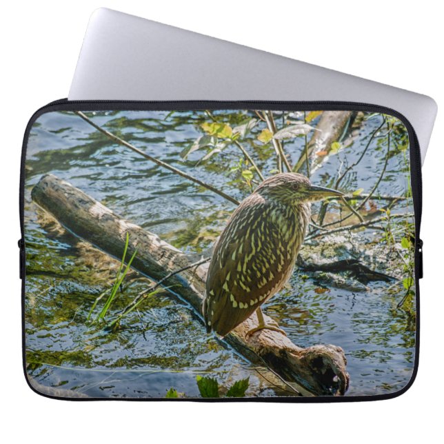 Night Heron jv Laptop Sleeve (Front)
