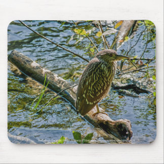 Night Heron jv Mouse Pad