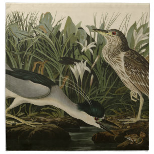 Night Heron, Qua Bird, Audubon's Birds of America Cloth Napkin