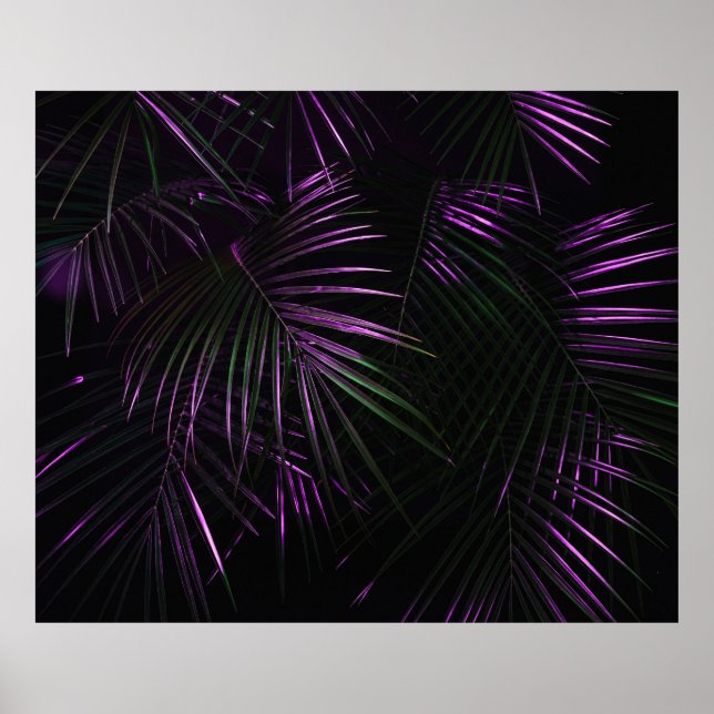Night in tropical rainforest. Palm leaves jungle p Poster (Front)