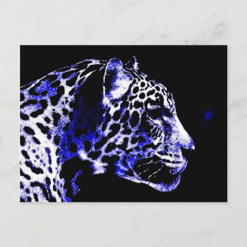 Night Jaguar Postcard