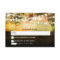 night lanterns romantic colorful wedding rsvp