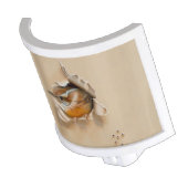 Night Light Carolina Wren by Camille Engel (Angled)