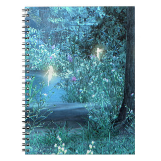 Night magic fairies notebook