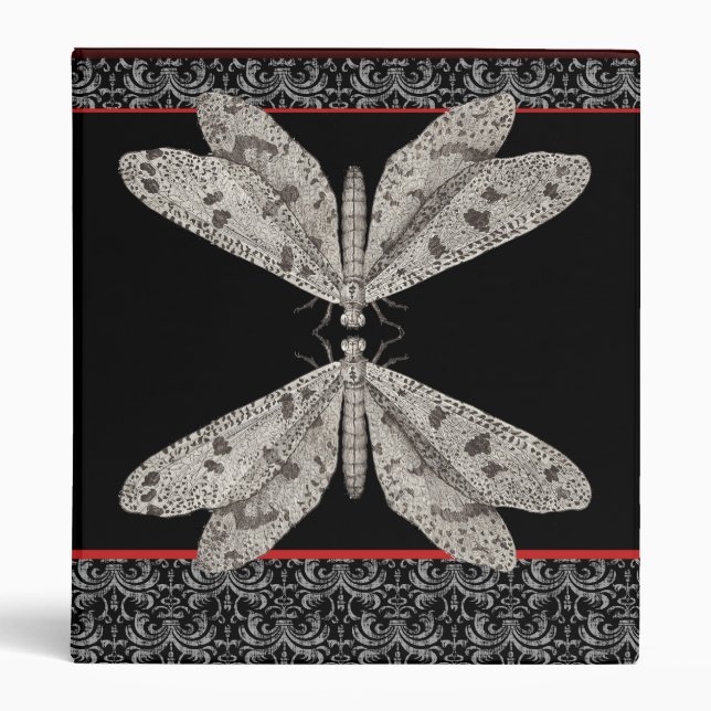 Night Moth Communication From an Antique Engraving Binder (Front)