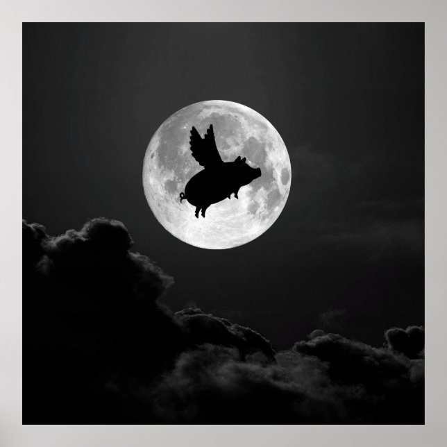 night of the flying pig - 20" x 24" poster (Front)