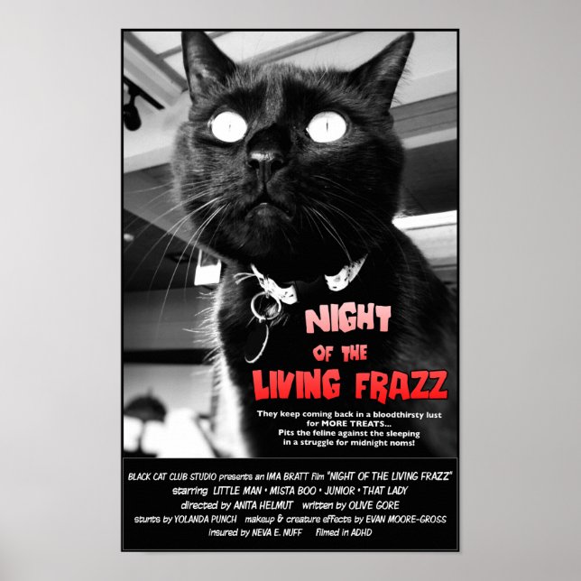 Night of the Living Frazz! Cat Horror Movie Poster (Front)