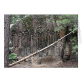 Night of the Walking Gigglers (Front Horizontal)