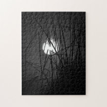 Night on the Pond Puzzle