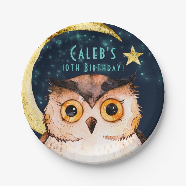 Night Owl Cute Sleepover Slumber Birthday Party Paper Plates (Front)
