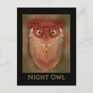 Night Owl Postcard