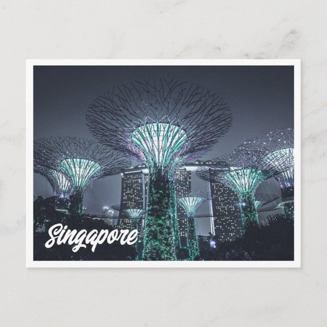 Night Photo of Singapore Gardens Postcard (Front)