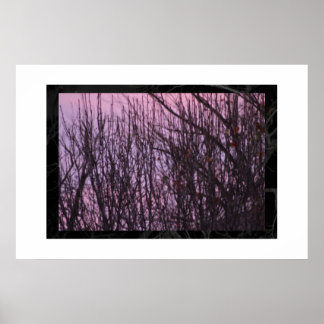 night poster