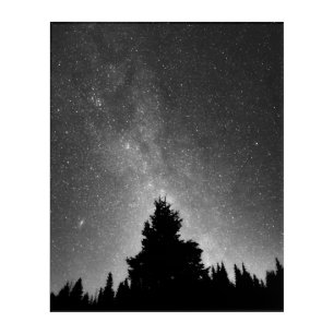 Night Sky Acrylic Print