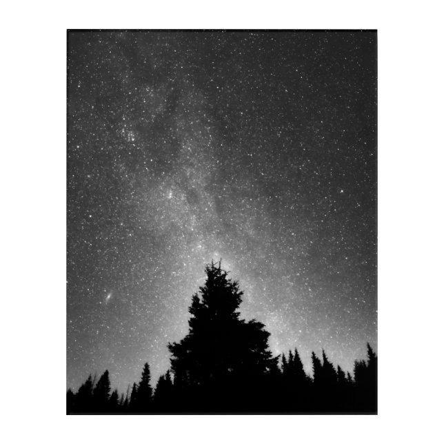 Night Sky Acrylic Print (Front)