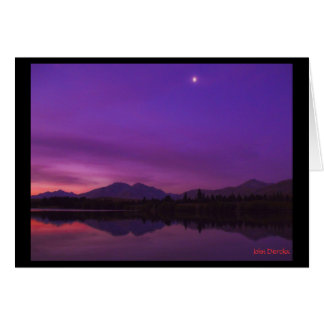 Night Sky Cards