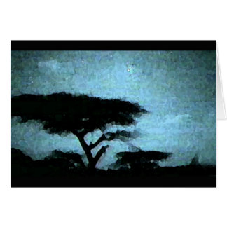 Night sky cards