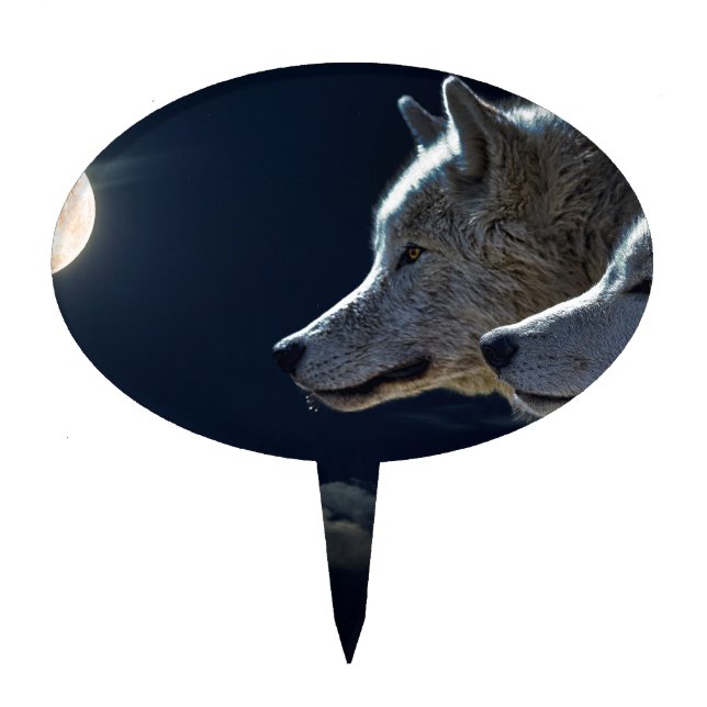 Night Sky Lights Moon Stars Astronomy Space Cake Topper (Front)
