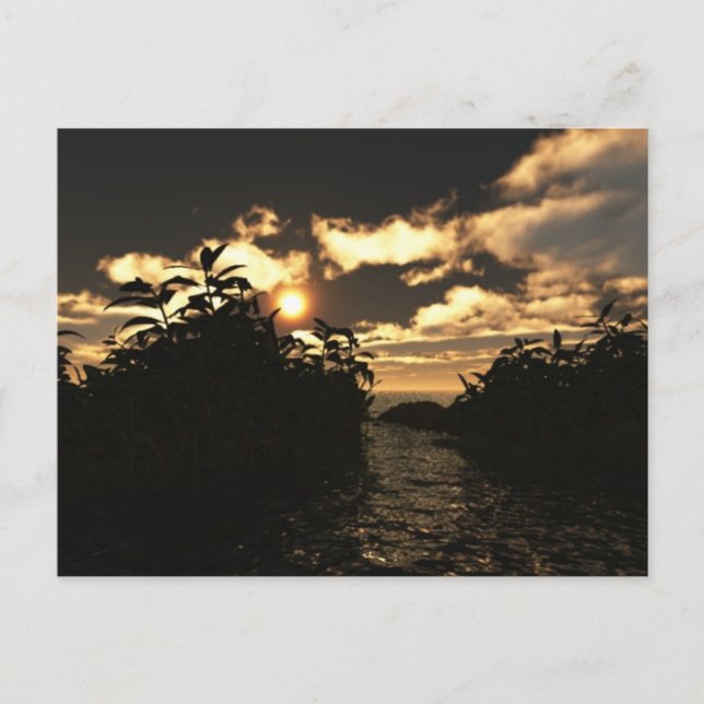 Night Sky Postcard (Front)