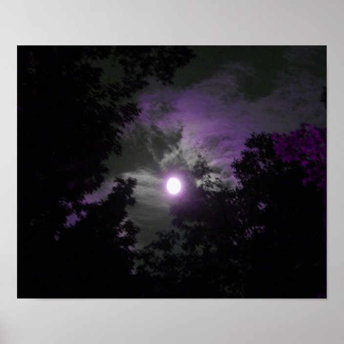 Night Sky Poster | Zazzle.com