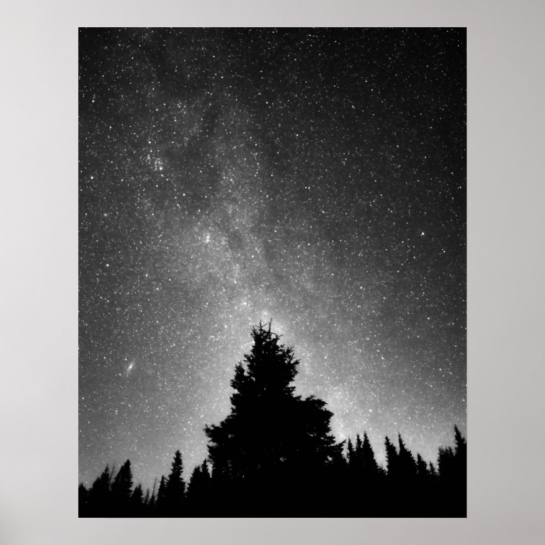 Night Sky Poster Zazzle