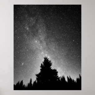 Night Sky Poster