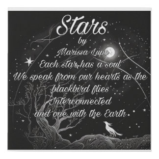 Night Sky Stars Poetry Blackbird Wall Art