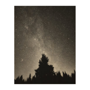 Night Sky Wood Wall Art