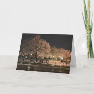 Night Snow Salem Common Massachusetts Photo Card