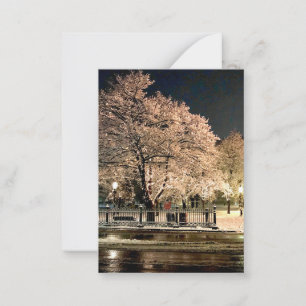 Night Snowstorm Salem Common Massachusetts Photo Note Card