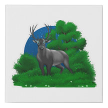 Night Stag | 