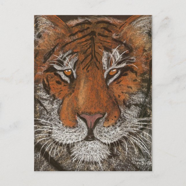 night tiger postcard (Front)