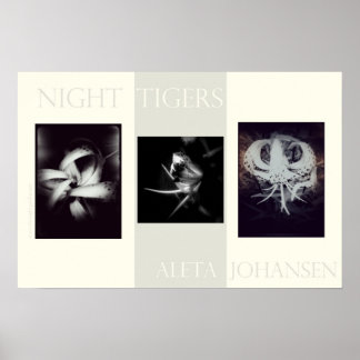 Night Tigers Poster (22.5 in. x 15 in.)
