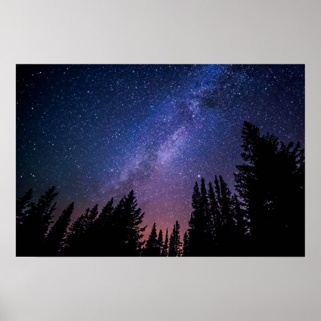 Night Trees and Stars Artwork | Poster (Front)