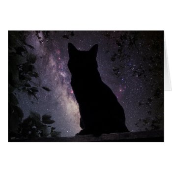Night Watch by CaptainScratch at Zazzle