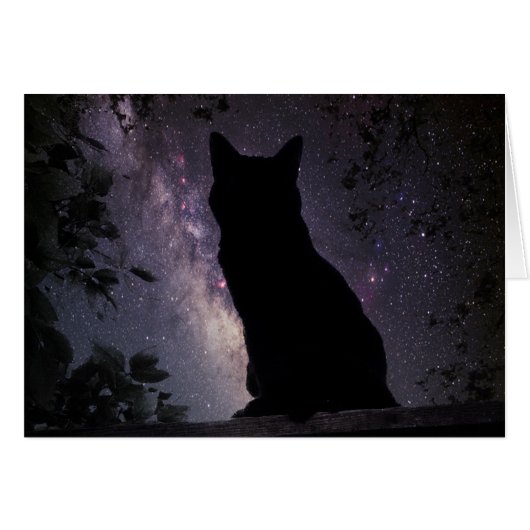 Night Watch Cards (Front Horizontal)