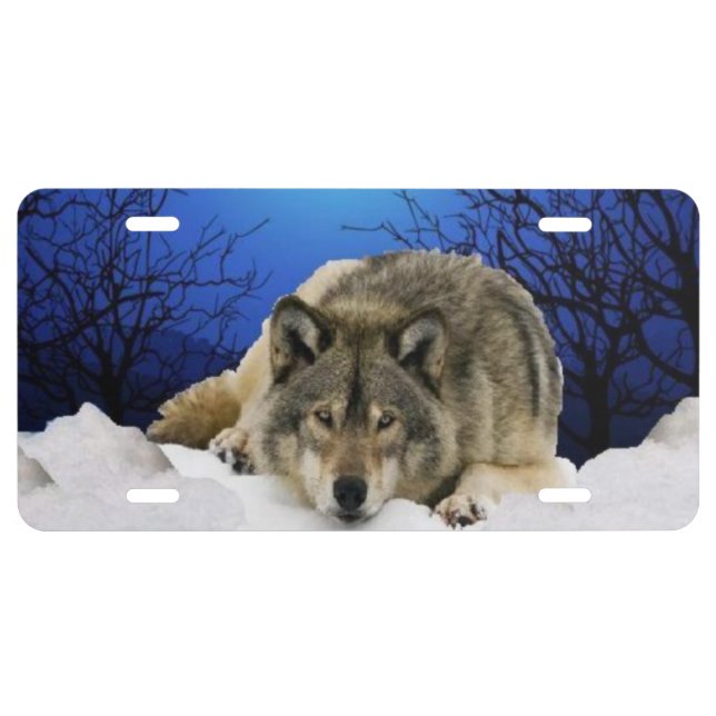 Night Watch License Plate (Front)