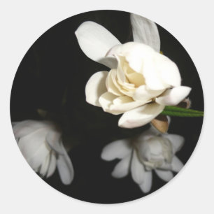 Night White Flower Jasmine Beauty Pure Bride Tulip Classic Round Sticker