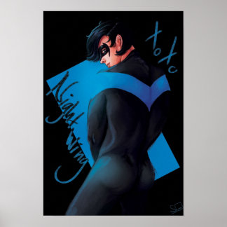 Night wing poster