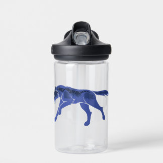Night Wolf Water Bottle