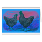 NightBreak (Front Horizontal)