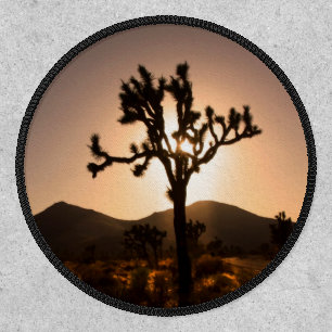 Nightfall begins at Joshua Tree Patch
