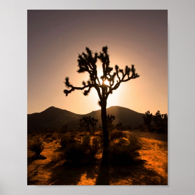 Nightfall begins at Joshua Tree Poster (Front)