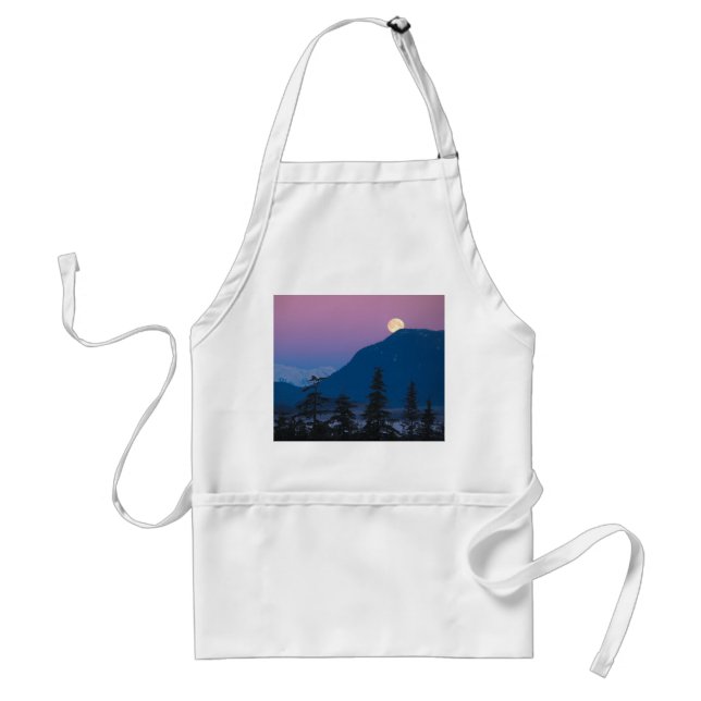 Nightfall in Alaska Adult Apron (Front)