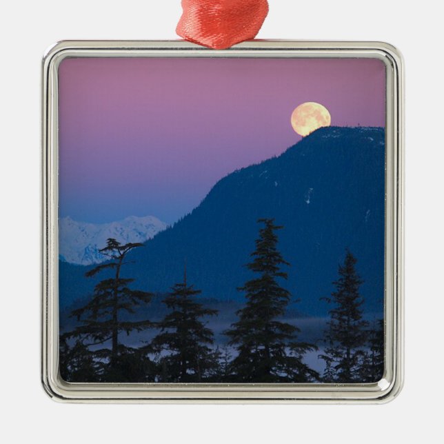 Nightfall in Alaska Metal Ornament (Front)