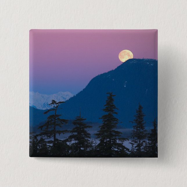 Nightfall in Alaska Pinback Button (Front)