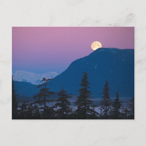 Nightfall in Alaska Postcard
