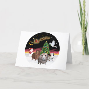 NightFlight 3 Guinea Pigs Holiday Card