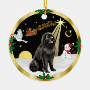 NightFlight- Newfoundland Ceramic Ornament