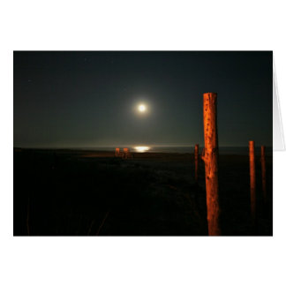 Nightguards--Beach at Night Cards